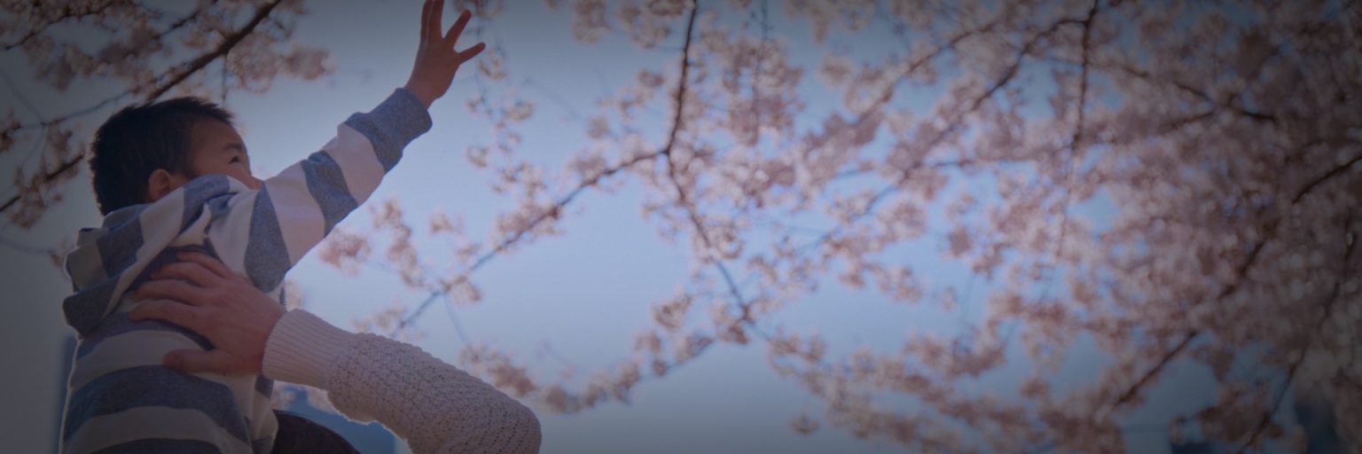 Work CUTTERS STUDIOS